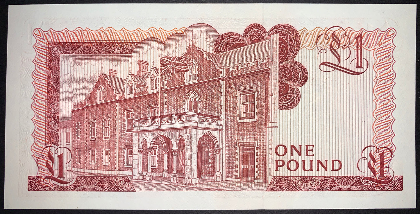 back of Gibraltar 1 Pound 1988 P-20e AUNC collectible vintage banknote