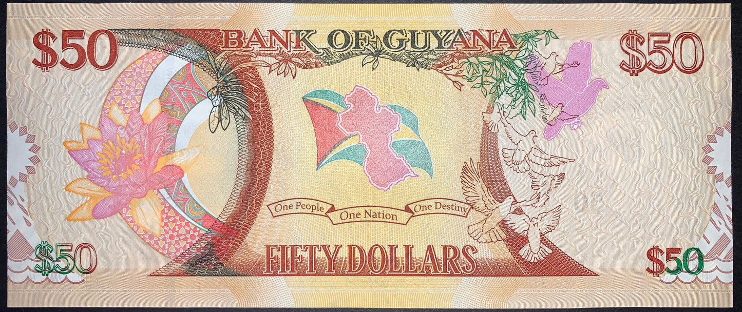 Guyana 50 Dollars 2016 P-41 UNC commemorative banknote reverse depicting the Hoatzin (Canje Pheasant), map outline of Guyana, Golden Arrowhead flag colors, and symbolic designs celebrating the nation's biodiversity.