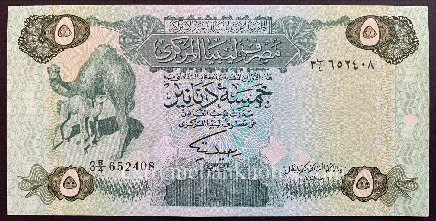 Libya 5 Dinars ND (1984) P-50 XF