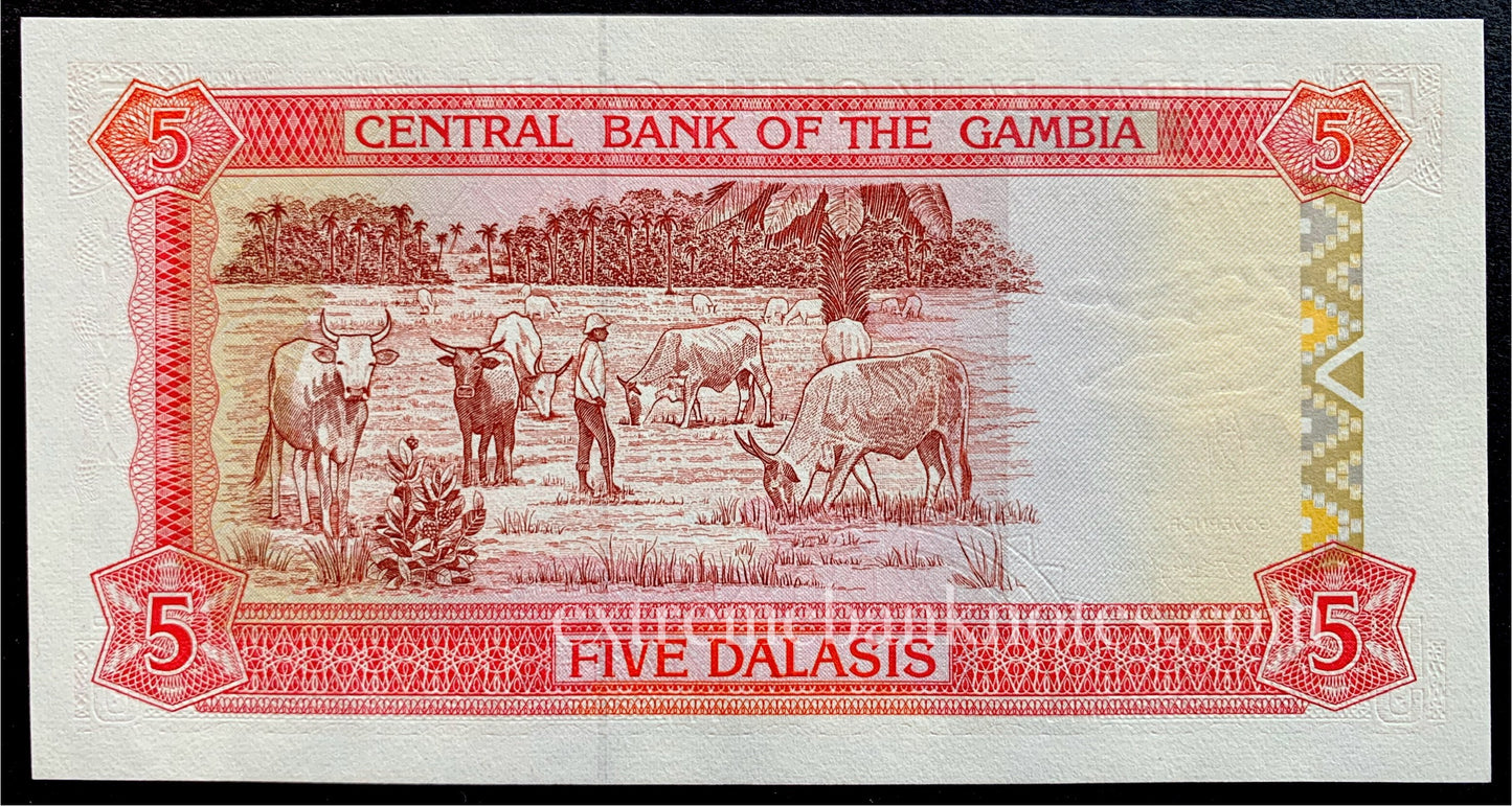 Gambia 5 Dalasis ND (1991-1995) P-12a UNC