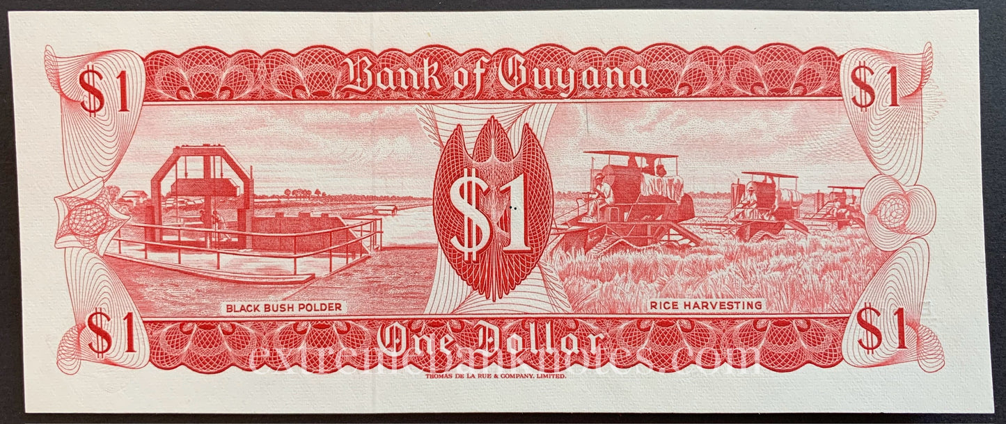 Guyana 1 Dollar ND (1983-1991) P-21f UNC