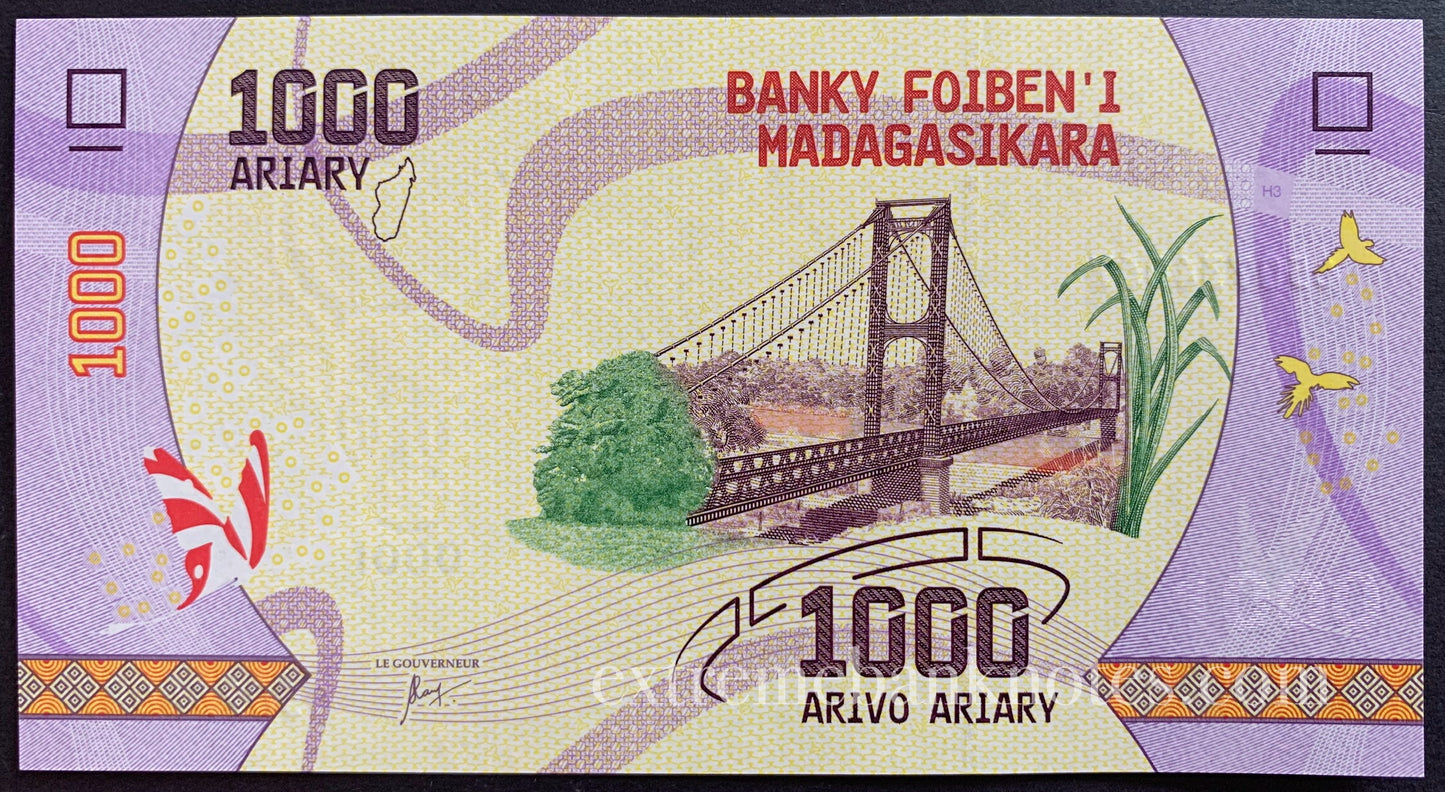Madagascar UNC Aviary Bundle