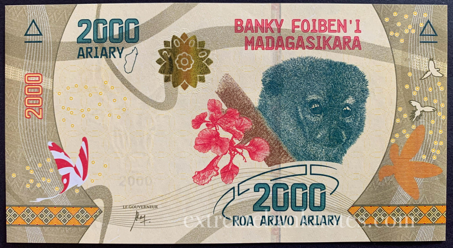 Madagascar UNC Aviary Bundle