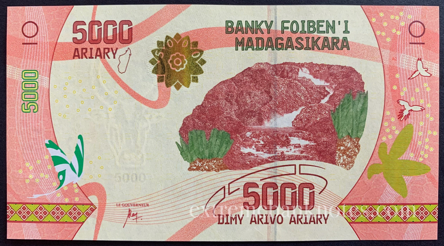Madagascar UNC Aviary Bundle