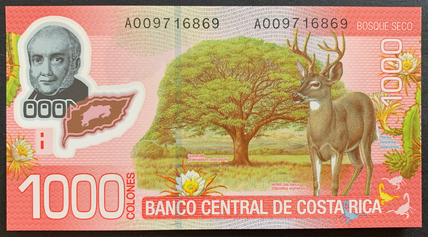 Costa Rica 1000 Colones 2009 P-274a UNC