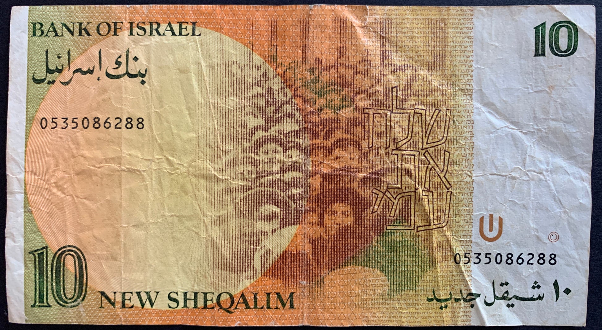 Bank of Israel 10 New Sheqalim banknote with intricate design and text.
