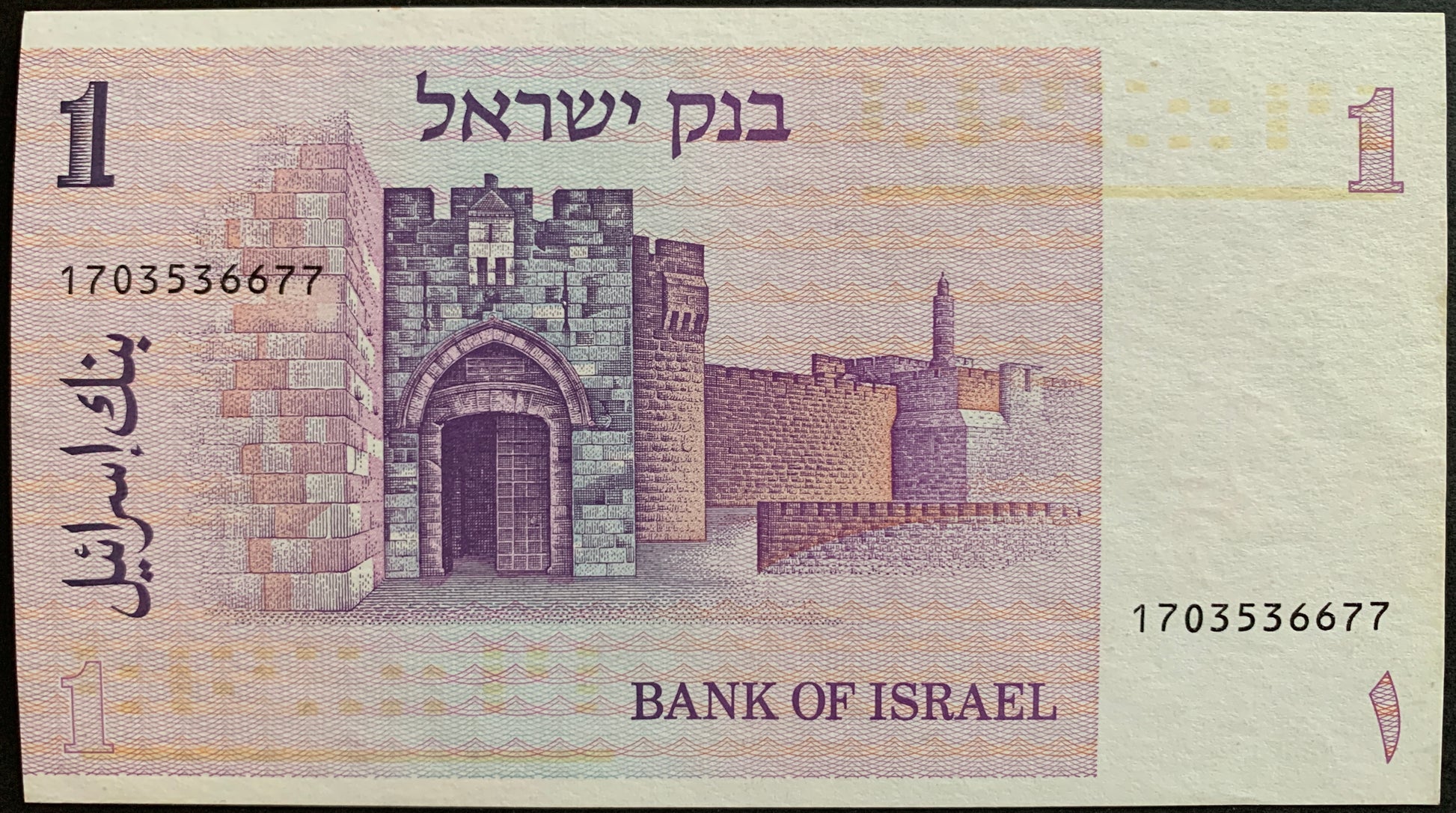 One New Sheqel banknote from Israel with a castle illustration and text.