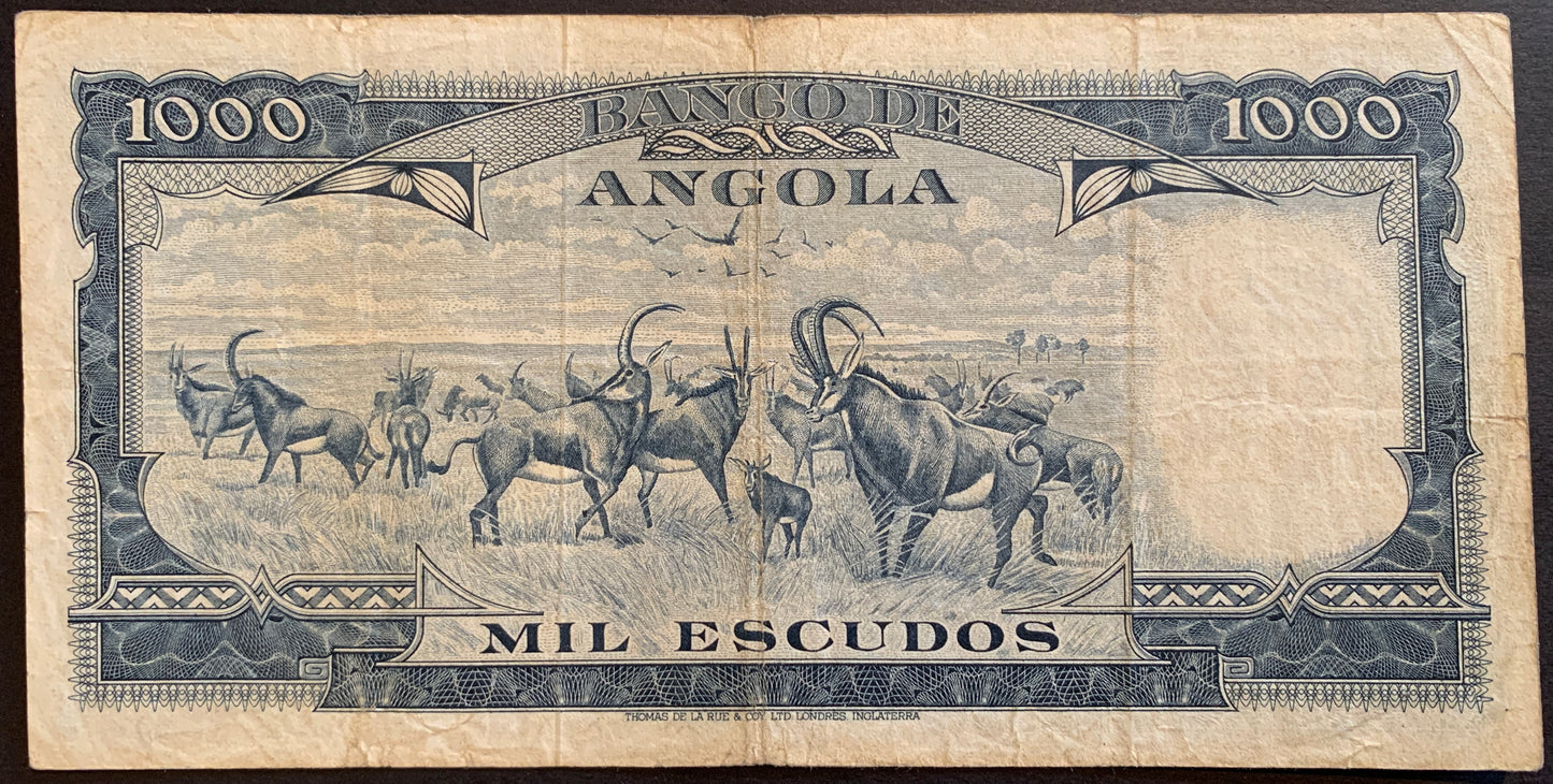 Angola 1000 Escudos 1970 P-98 vintage collectible banknote bundle colonial currency set with herd of antelopes and birds