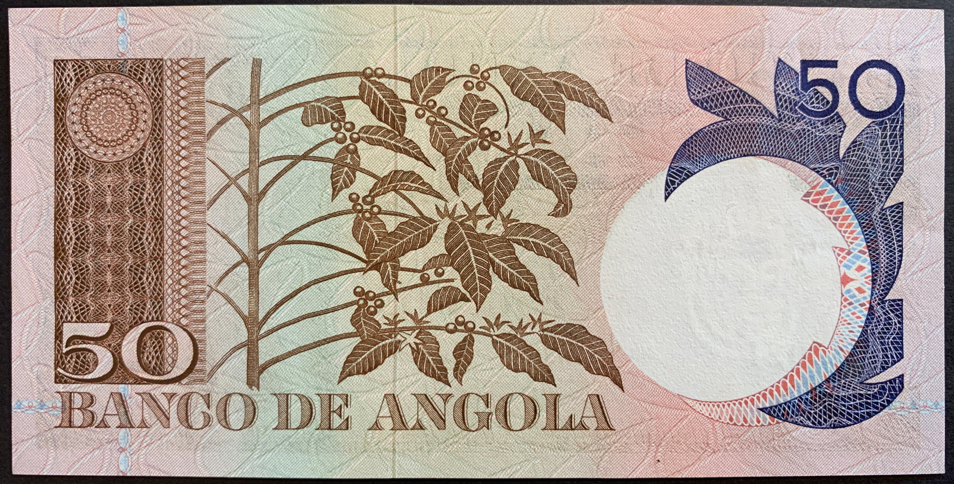 Angola 50 Escudos 1973 P-105 vintage colonial banknote with plant with berries