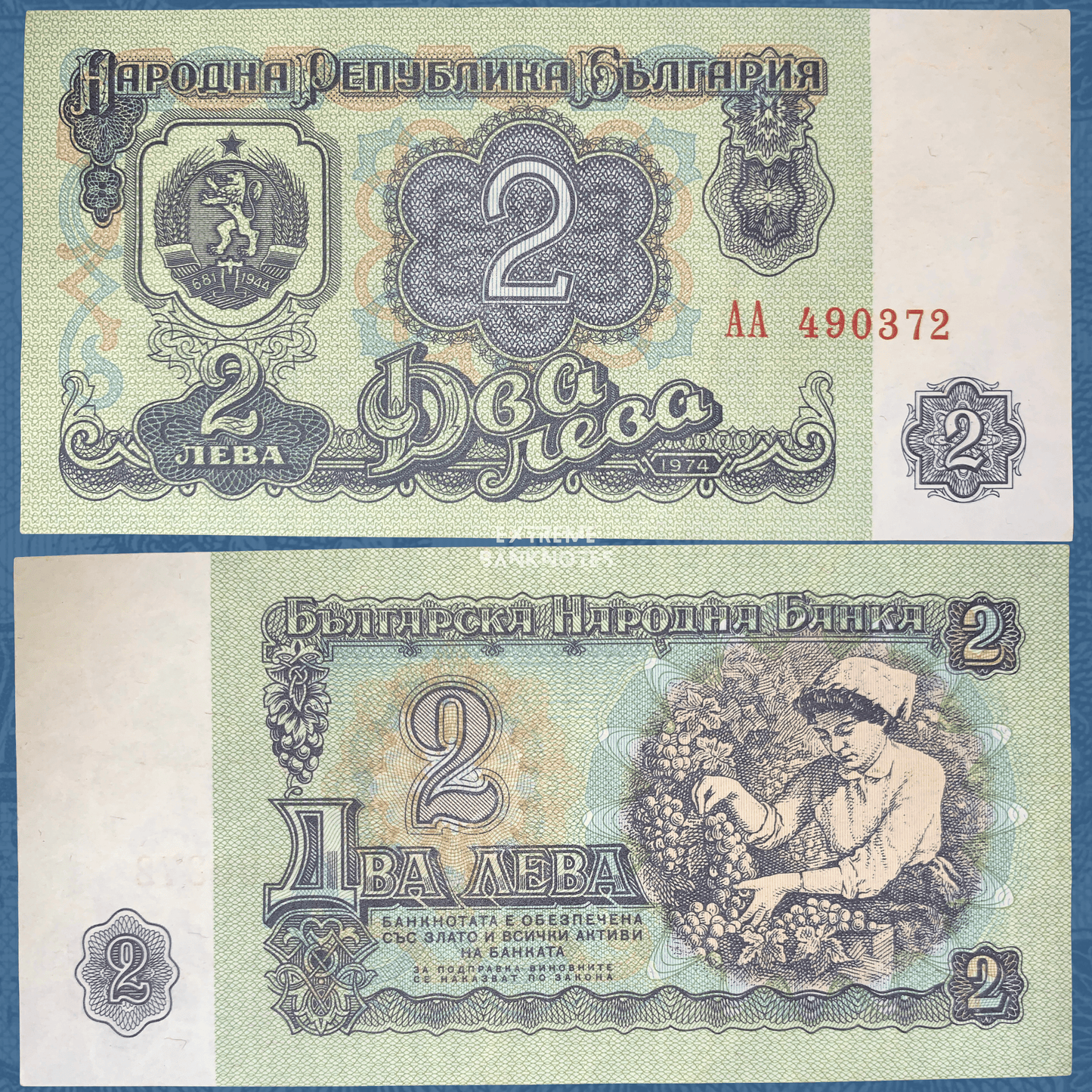 Front and back of an authentic Bulgaria 2 Leva banknote, issued in 1974, featuring the national coat of arms on the obverse, a grape harvester in a vineyard on the reverse, ornate green security patterns, and circulated condition.
