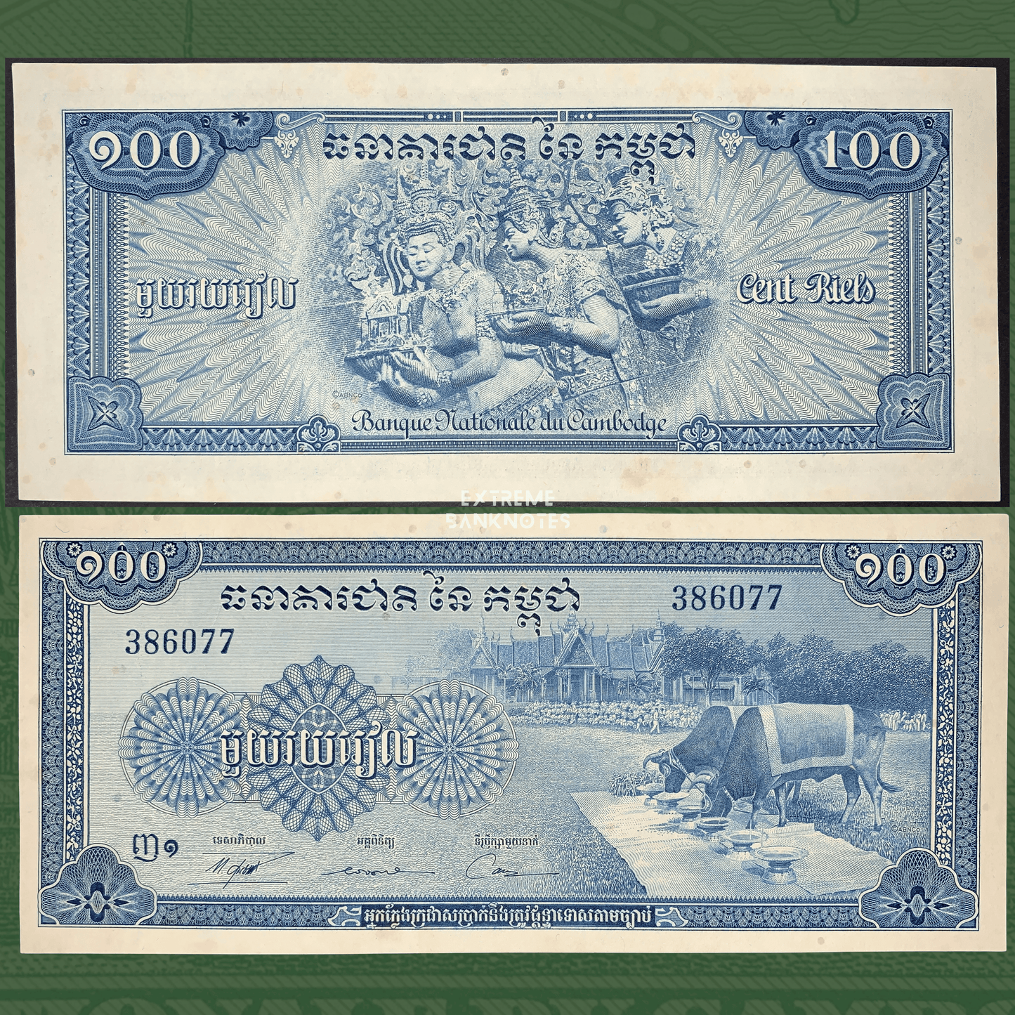 Front and back view of Cambodia 100 Riels banknote, Banque Nationale du Cambodge, featuring traditional Khmer Apsara dancers on the obverse and ceremonial oxen with temple complex on the reverse, blue engraved design, collectible vintage Cambodian currency.