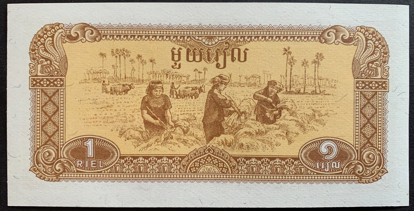 Cambodia 1 Riel 1979 P-28 vintage banknote with women working in field