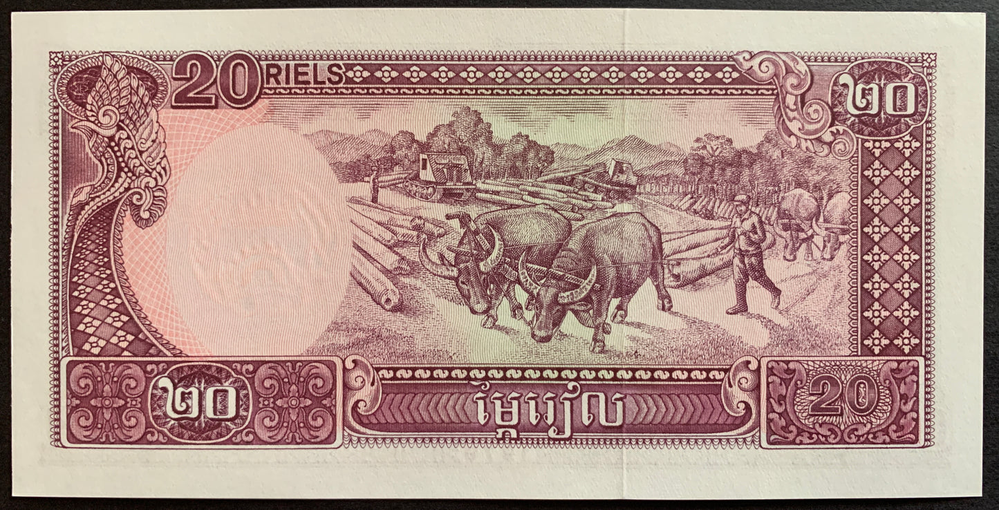 Cambodia 20 Riels 1979 P-31 vintage banknote with waterbuffalo transporting wood