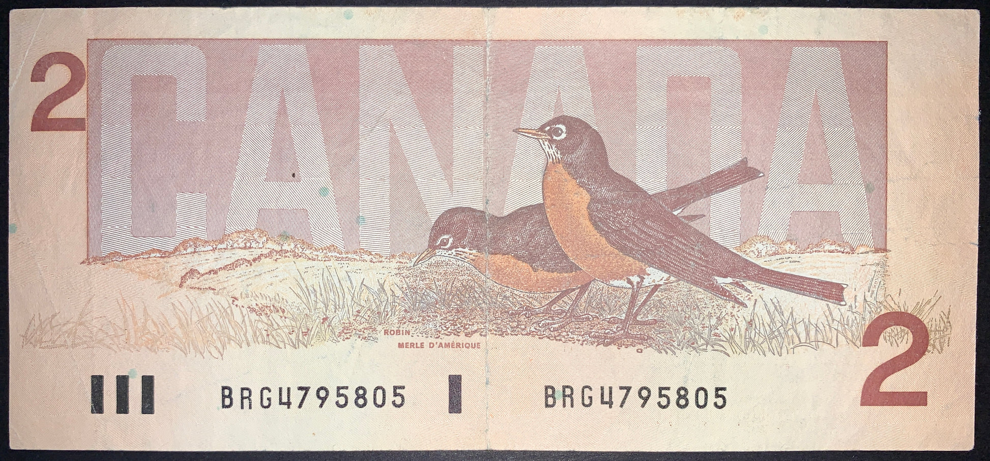 back of Canada 2 Dollars 1986 P-94 F collectible vintage banknote with two robins