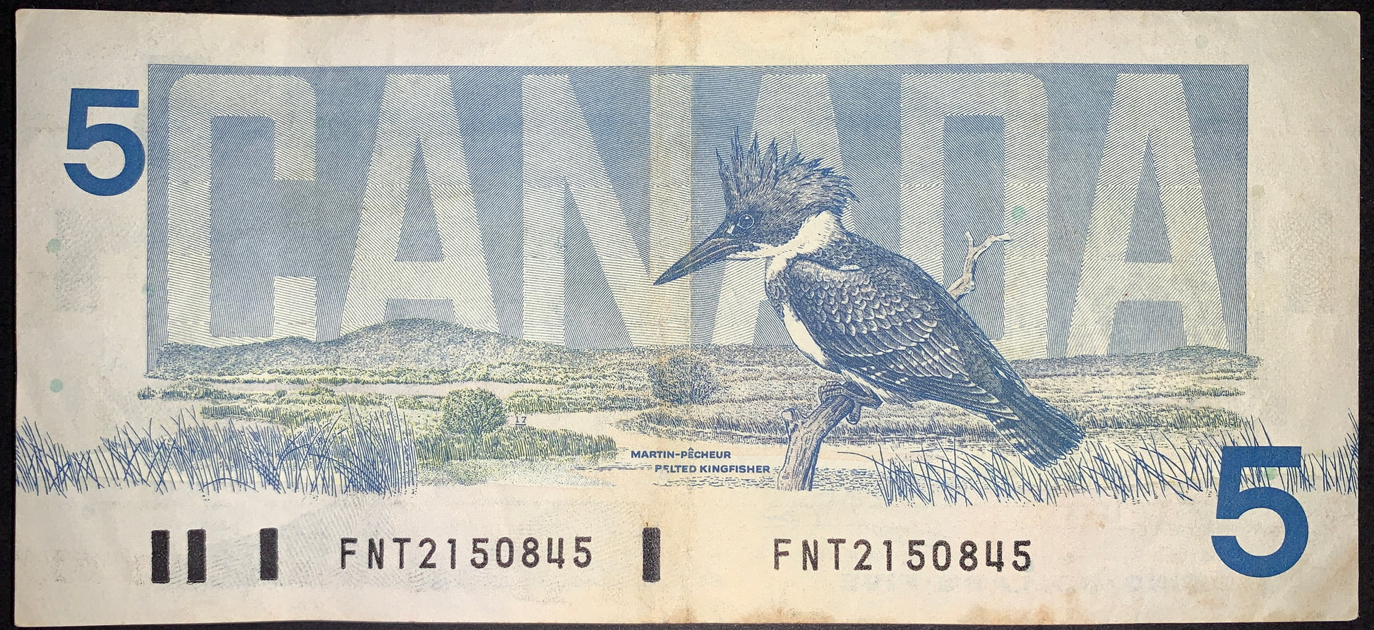 Reverse view of a 1986 Canadian 5-dollar banknote from the Birds of Canada series featuring a Belted Kingfisher bird. The design shows the bird perched on a branch overlooking a detailed wetland landscape, set against a large, stylized "CANADA" background text. The serial number FNT2150845 is printed twice along the bottom border in black ink next to bar codes, with large blue numeral 5s positioned in the top-left and bottom-right corners.