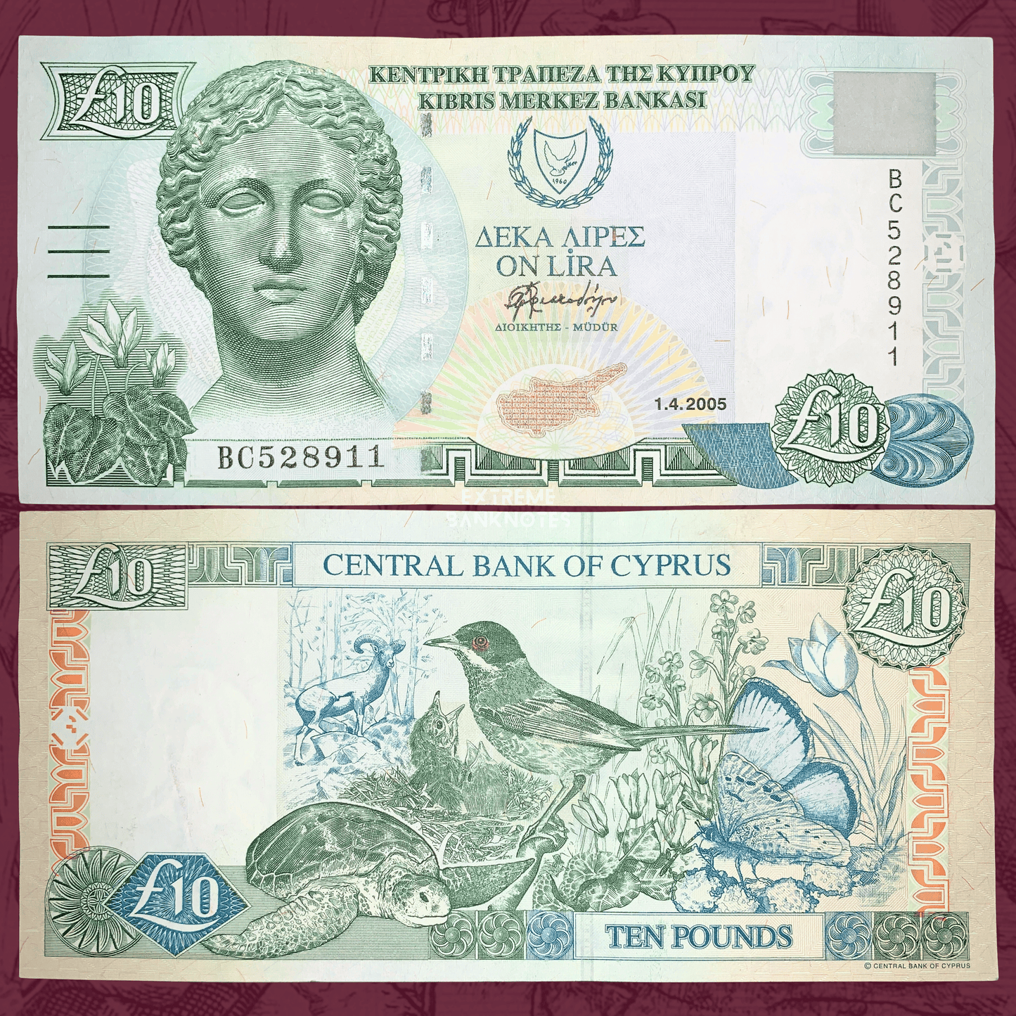 Authentic Cyprus 10 Pounds banknote (2005, P-62e) showing the front with a classical female statue, Cyprus map, and security features, alongside the reverse featuring native wildlife including a bird, sea turtle, butterfly, and floral motifs. Original Central Bank of Cyprus collectible paper money.