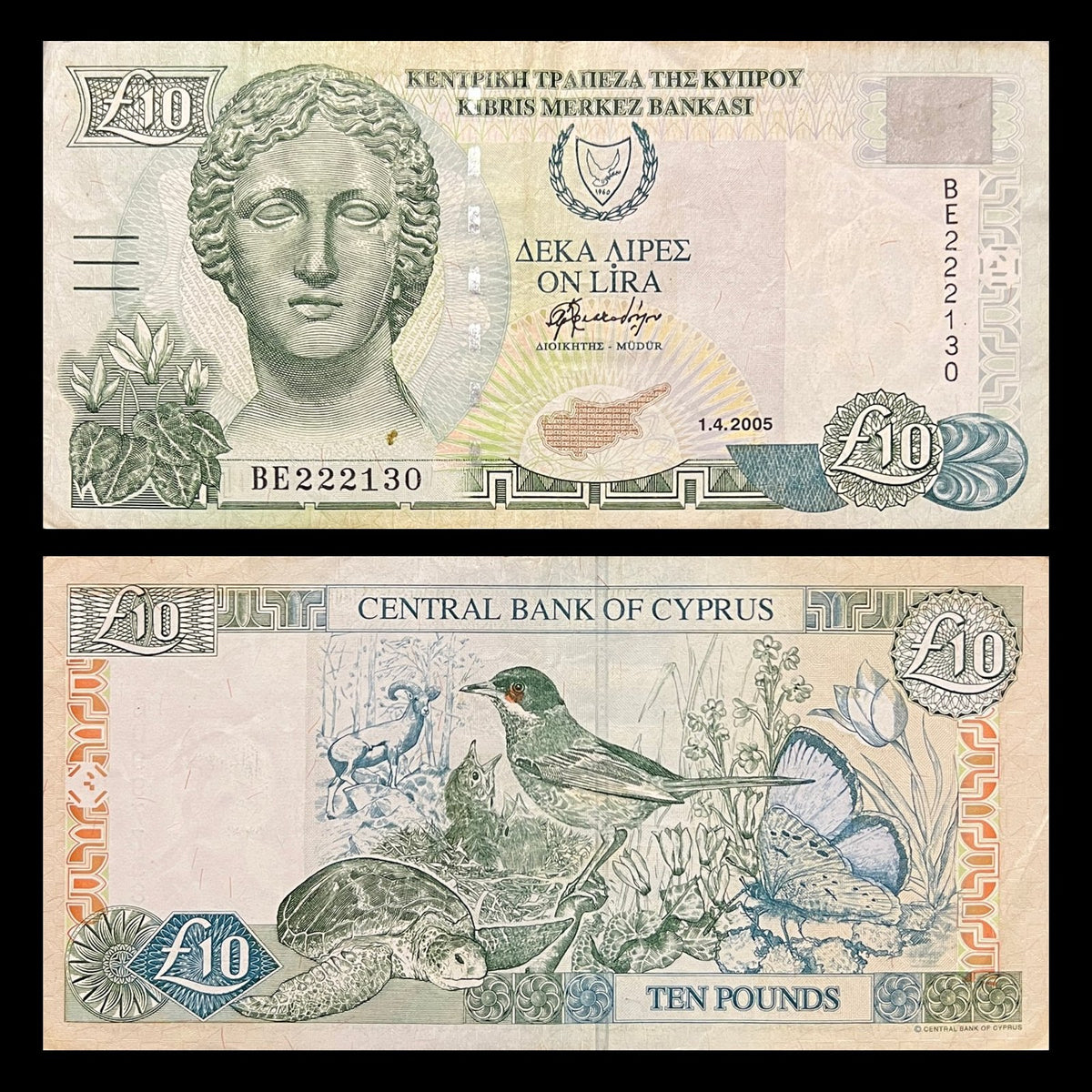 Cyprus 10 Pounds 2005 P-62e VF banknote – front with a bust of the goddess Artemis, back with mouflon, green turtle, Cyprus warbler and butterfly
