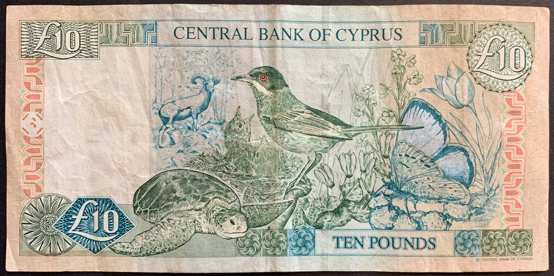 Cyprus 10 Pounds P-62b banknote back with butterfly, turtle, bird, and flowers
