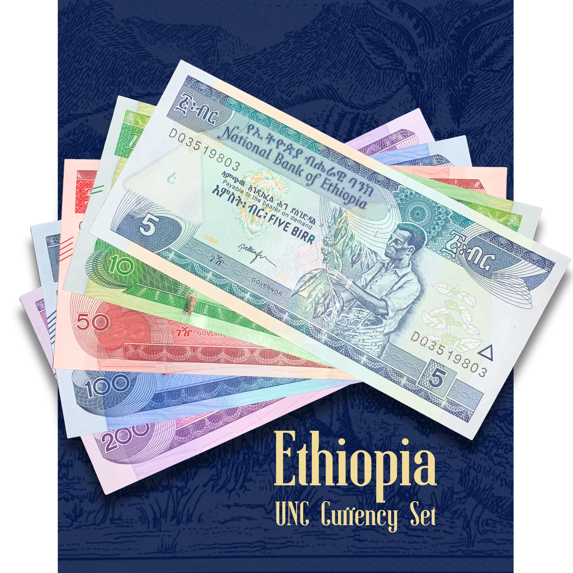 Ethiopia UNC Modern Birr Banknote Bundle featuring 5, 10, 50, 100 and 200 Birr uncirculated currency notes