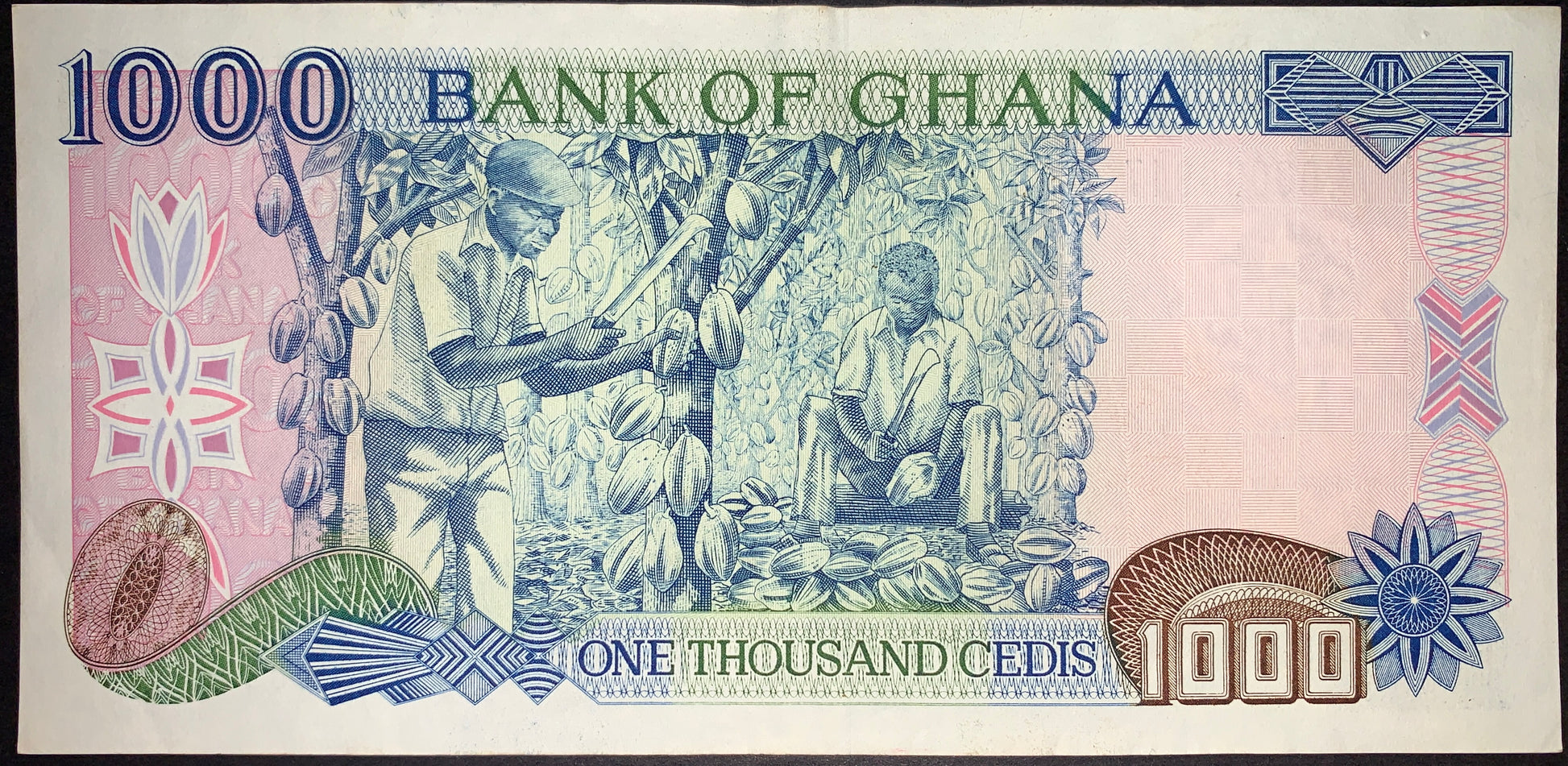 back of Ghana 1000 Cedis 1991 P-29a XF collectible vintage african banknote with men collecting cocoa beans