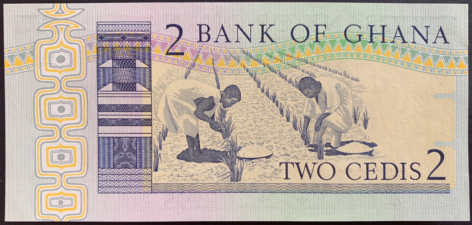back of Ghana 2 Cedis 1982 P-18d collectible banknote with workers tending to plants