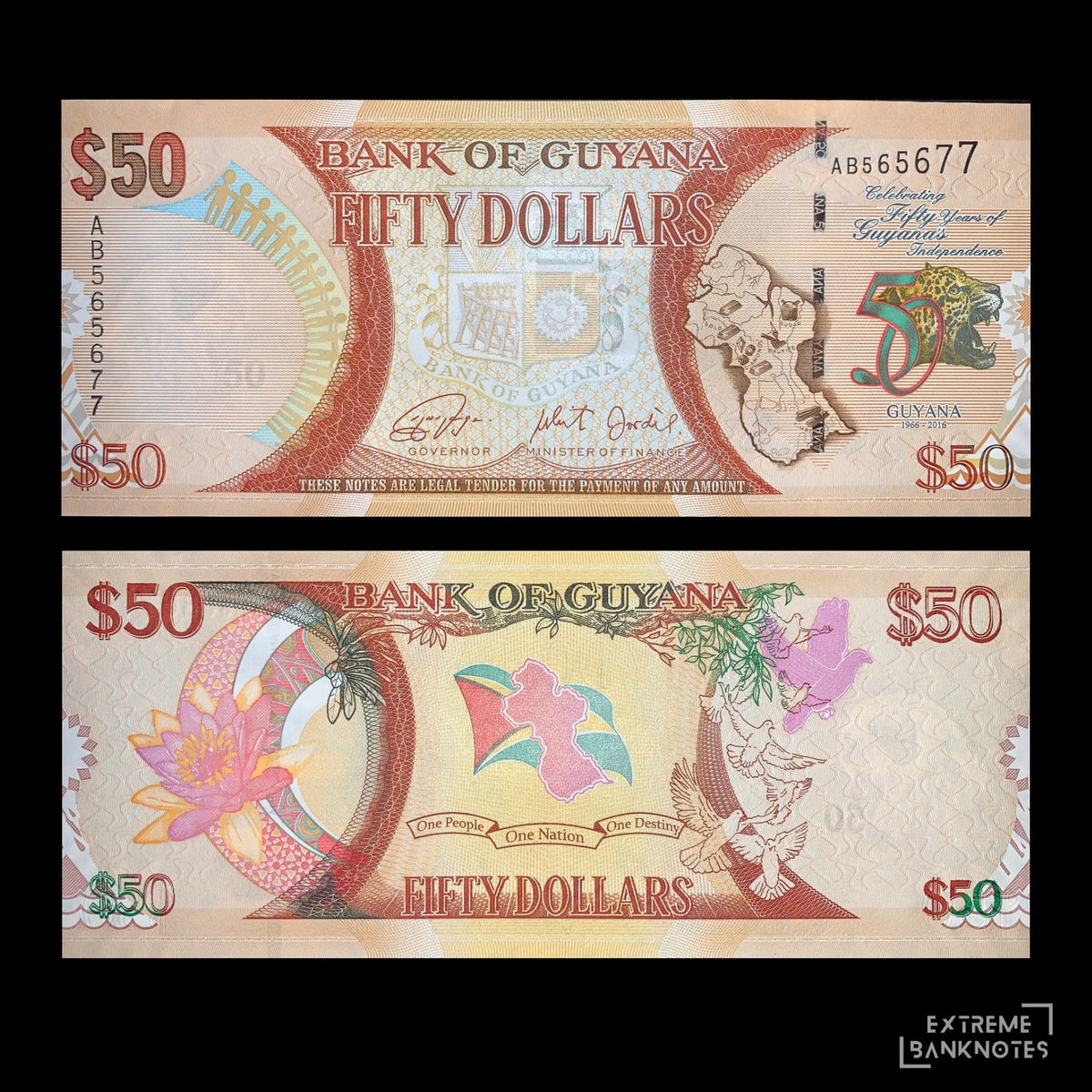 Guyana 50 Dollars 2016 P-41 UNC commemorative banknote celebrating 50 years of Guyana's Independence, authentic Bank of Guyana collectible note.