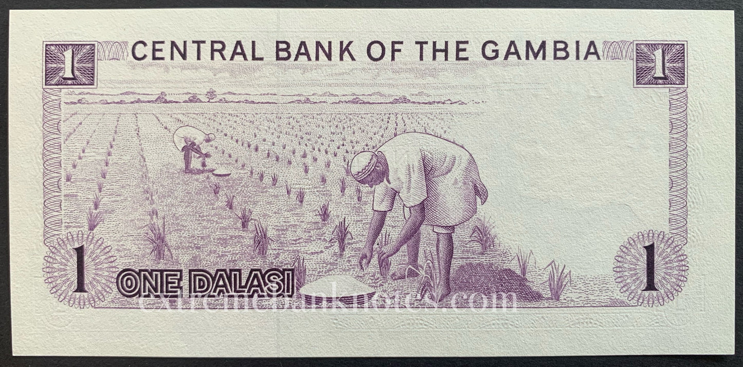Gambia 1 Dalasi ND (1971-1987) P-4g UNC