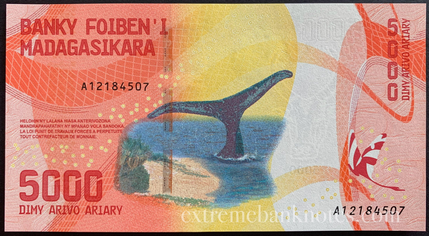 Madagascar UNC Aviary Bundle