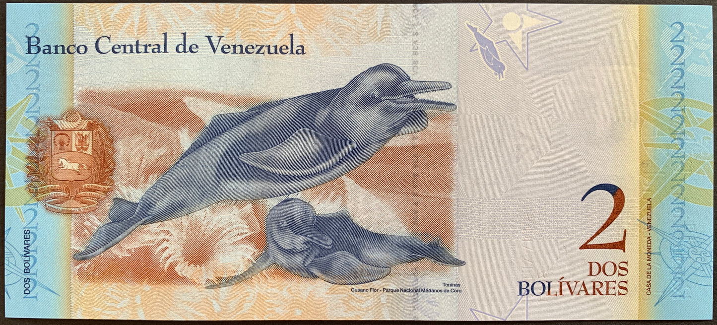 Venezuelan UNC Hyperinflation Bundle