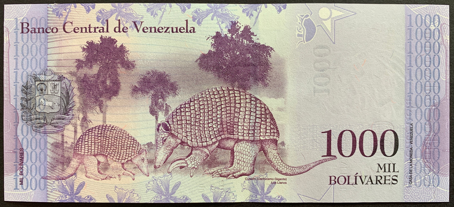 Venezuelan UNC Hyperinflation Bundle