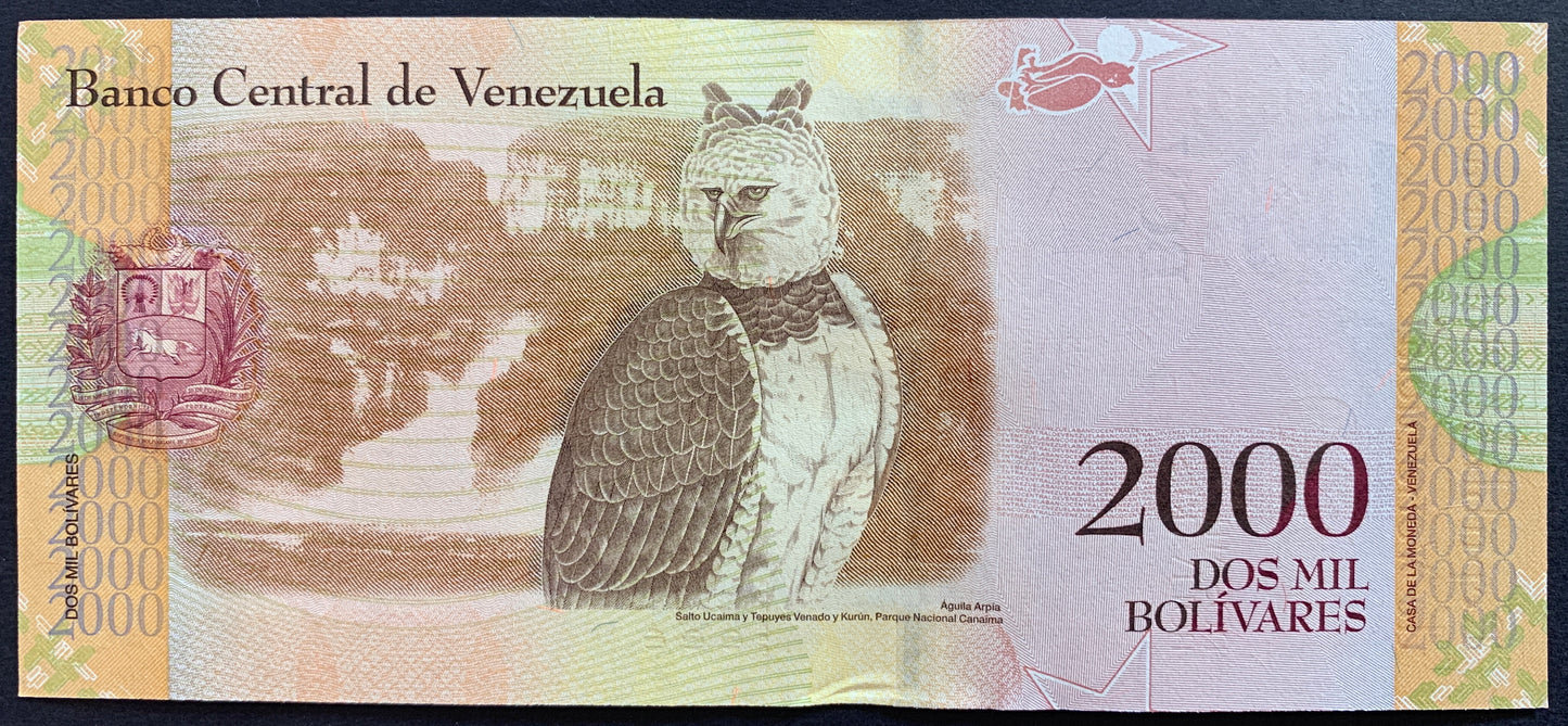 Venezuelan UNC Hyperinflation Bundle