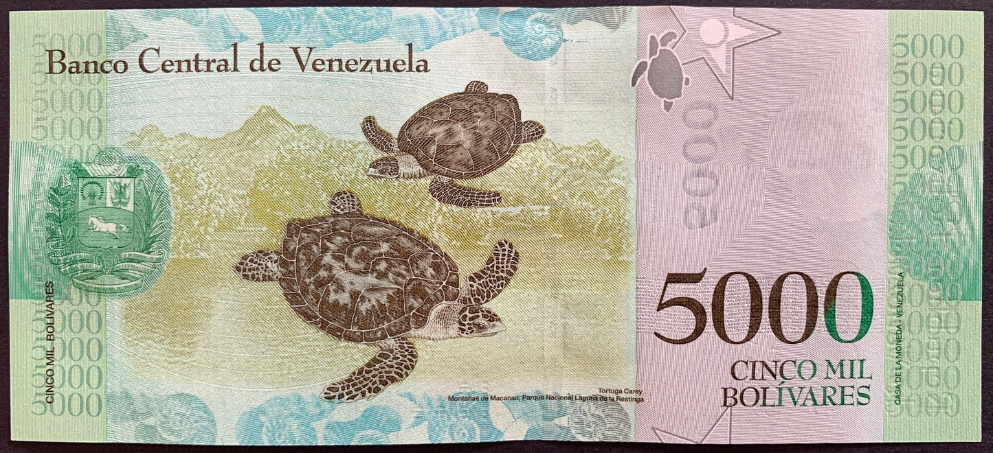 Venezuelan UNC Hyperinflation Bundle