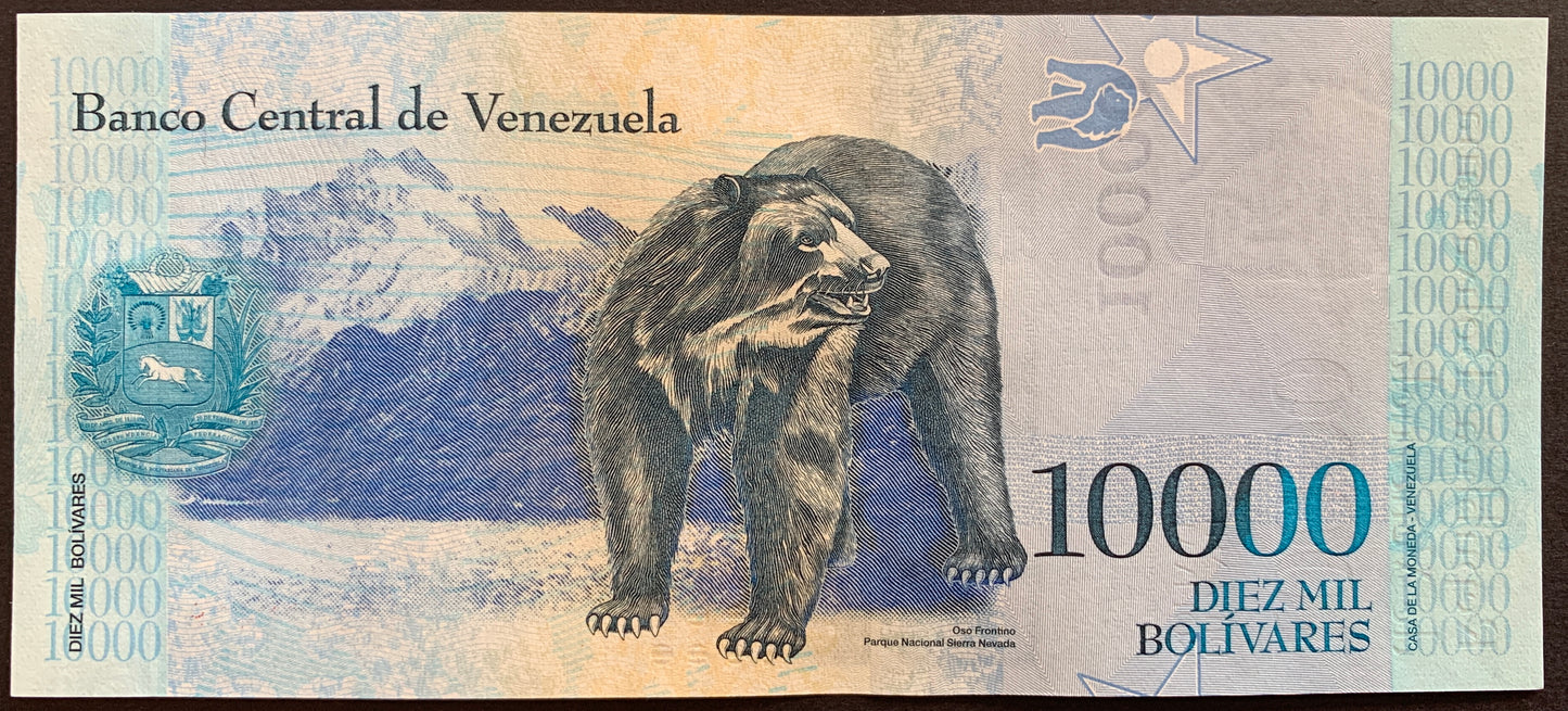 Venezuelan UNC Hyperinflation Bundle