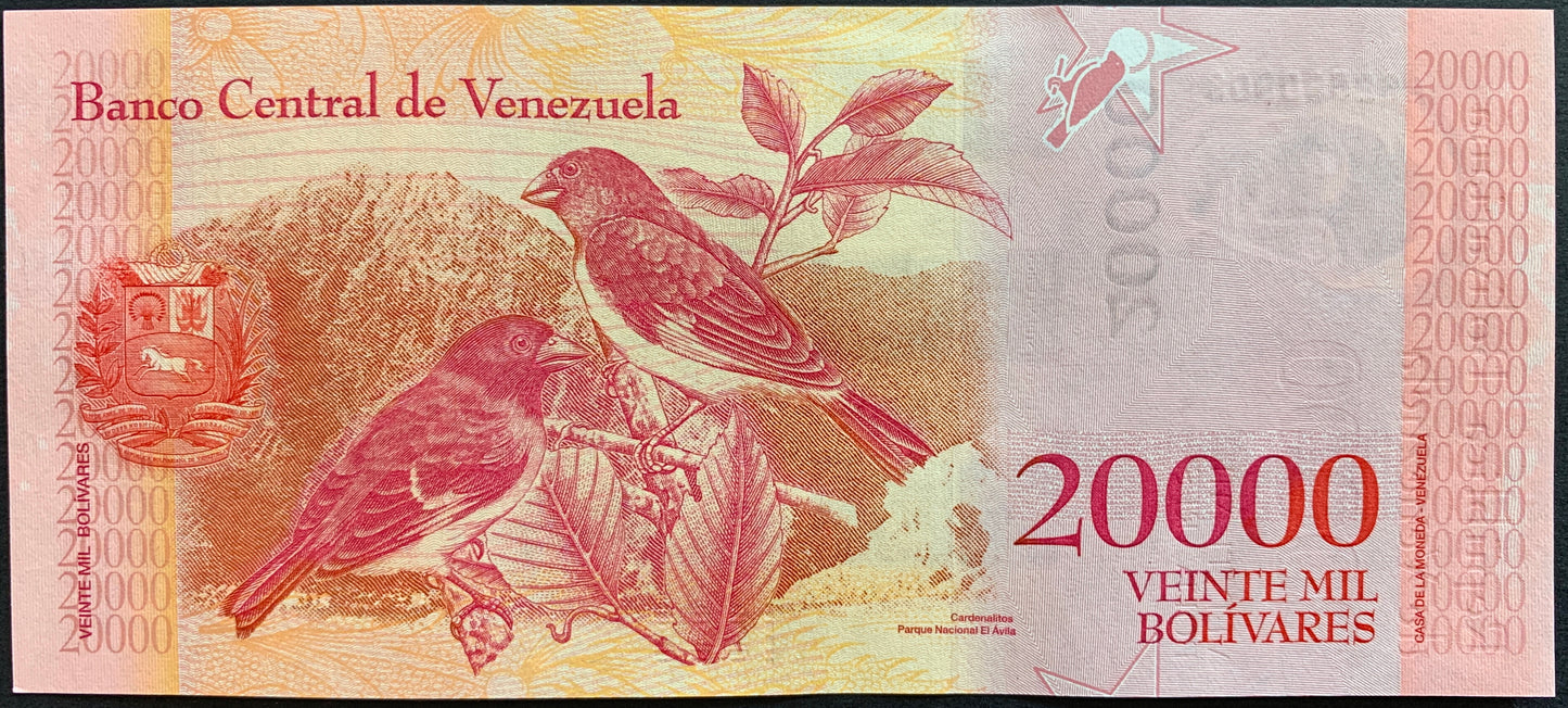 Venezuelan UNC Hyperinflation Bundle