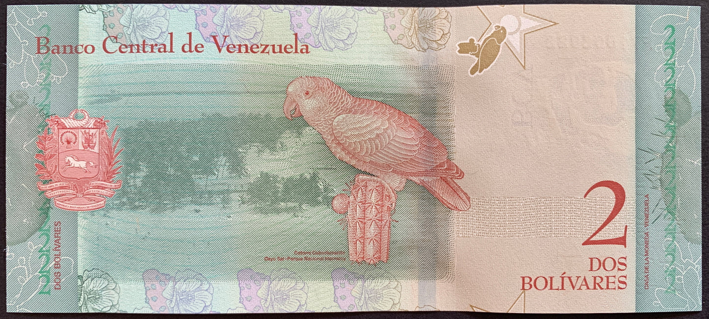 Venezuelan UNC Hyperinflation Bundle