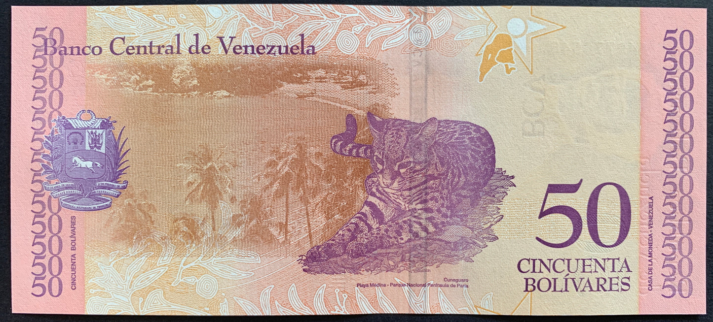 Venezuelan UNC Hyperinflation Bundle