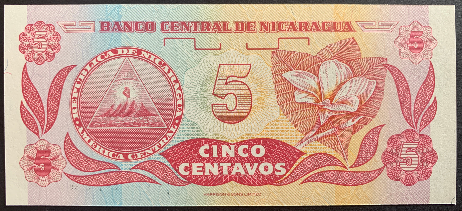 Nicaragua 5 Centavos ND (1991-92) P-168 banknote