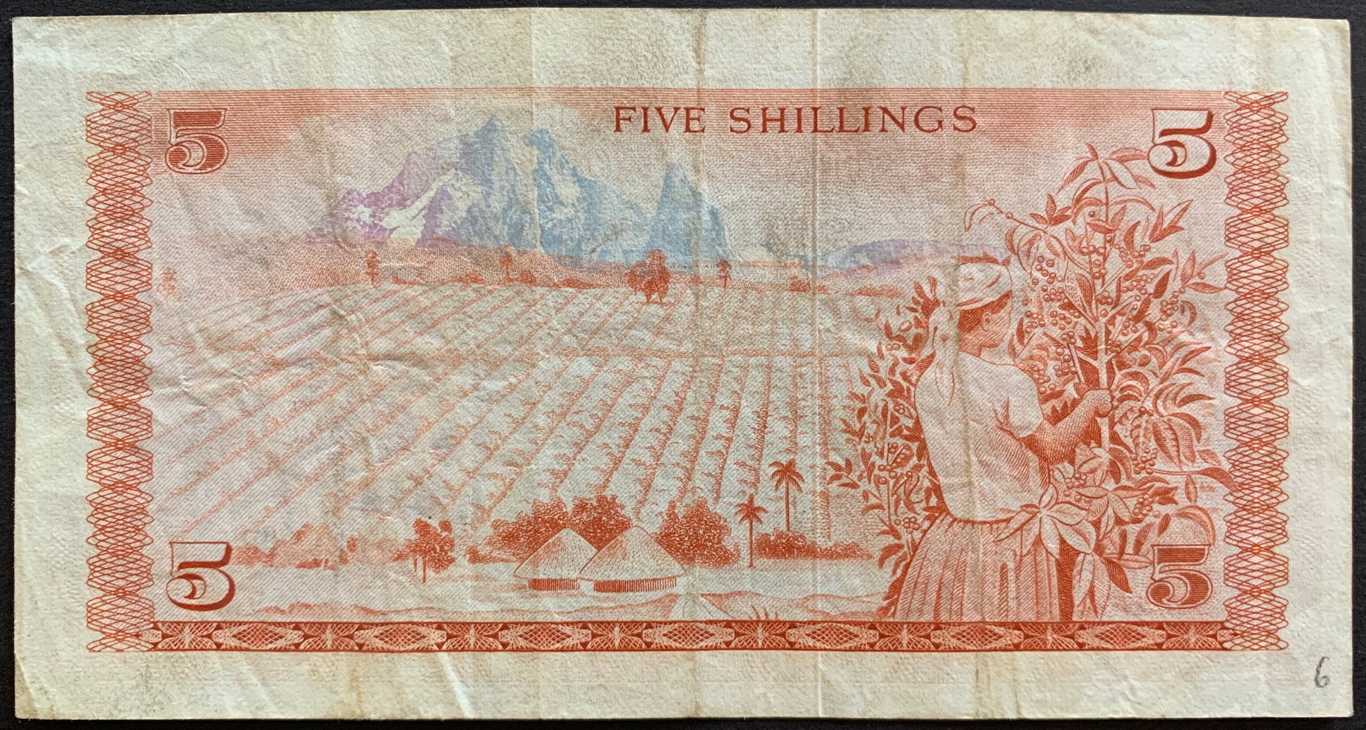 Kenya 5 Shillings 1975 P-11b vintage banknote with woman picking berries in field and mountains