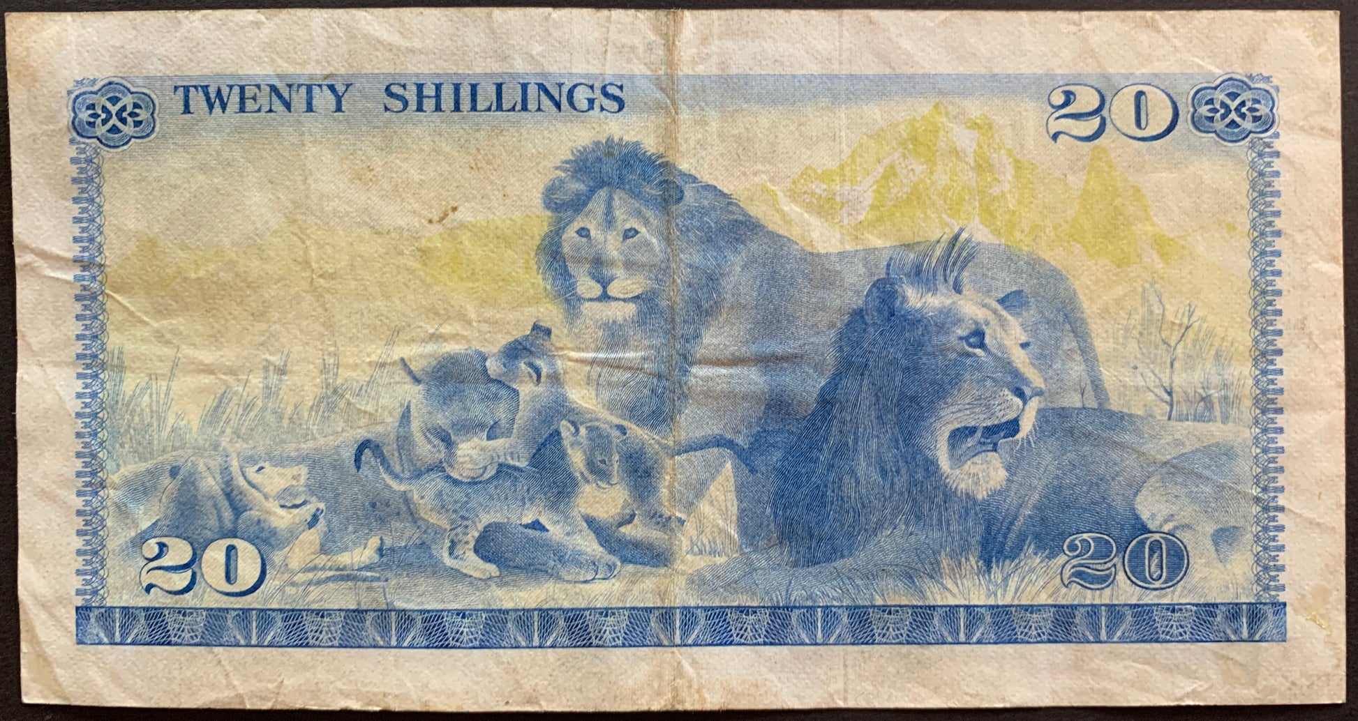 Kenya 100 Shillings 1981 P-17 vintage banknote with lion family