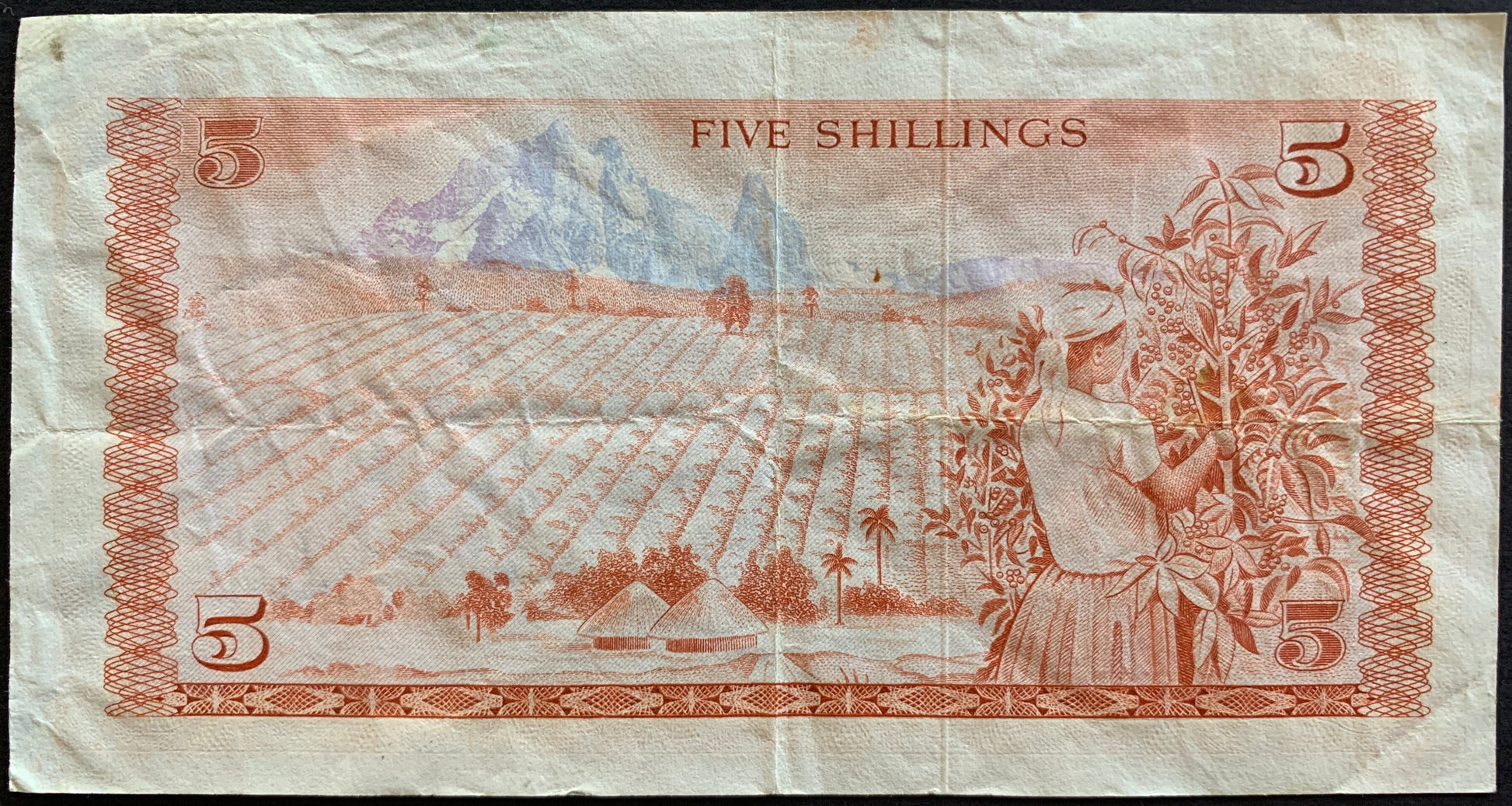 Kenya 5 Shillings 1975 P-11b vintage banknote with woman collecting berries in field