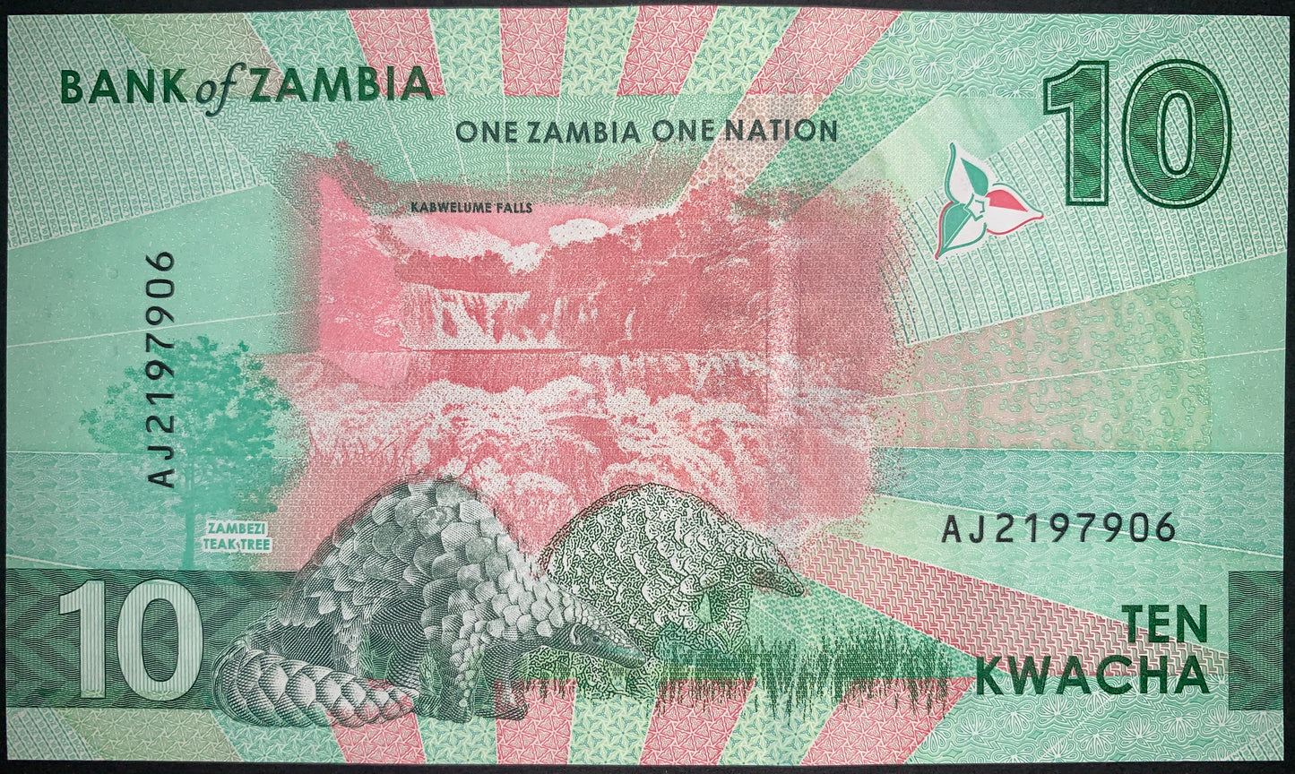 Zambia 2024 UNC Modern Banknote Bundle Set – 10, 20, 50, 100 Kwacha