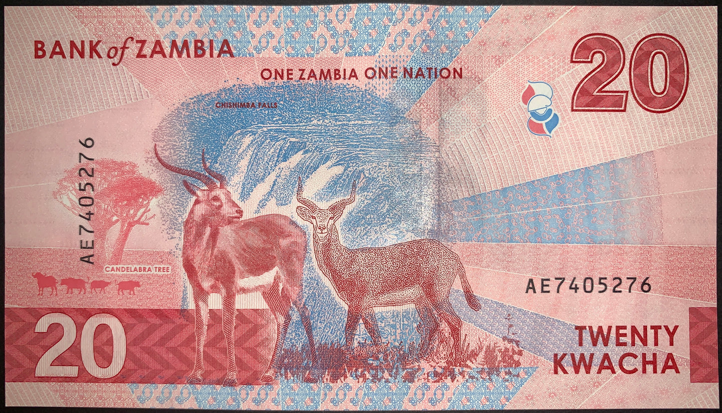 Zambia 2024 UNC Modern Banknote Bundle Set – 10, 20, 50, 100 Kwacha