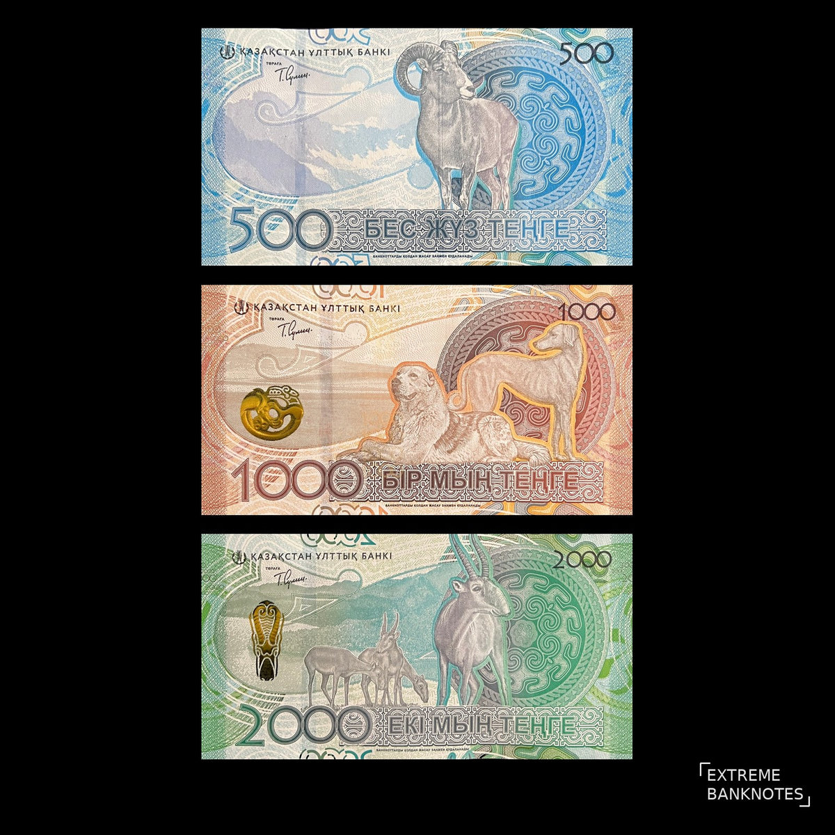 Back view of Kazakhstan 500, 1000 and 2000 Tenge banknotes showing a urial, tobet and tazy dogs, and saiga antelopes.