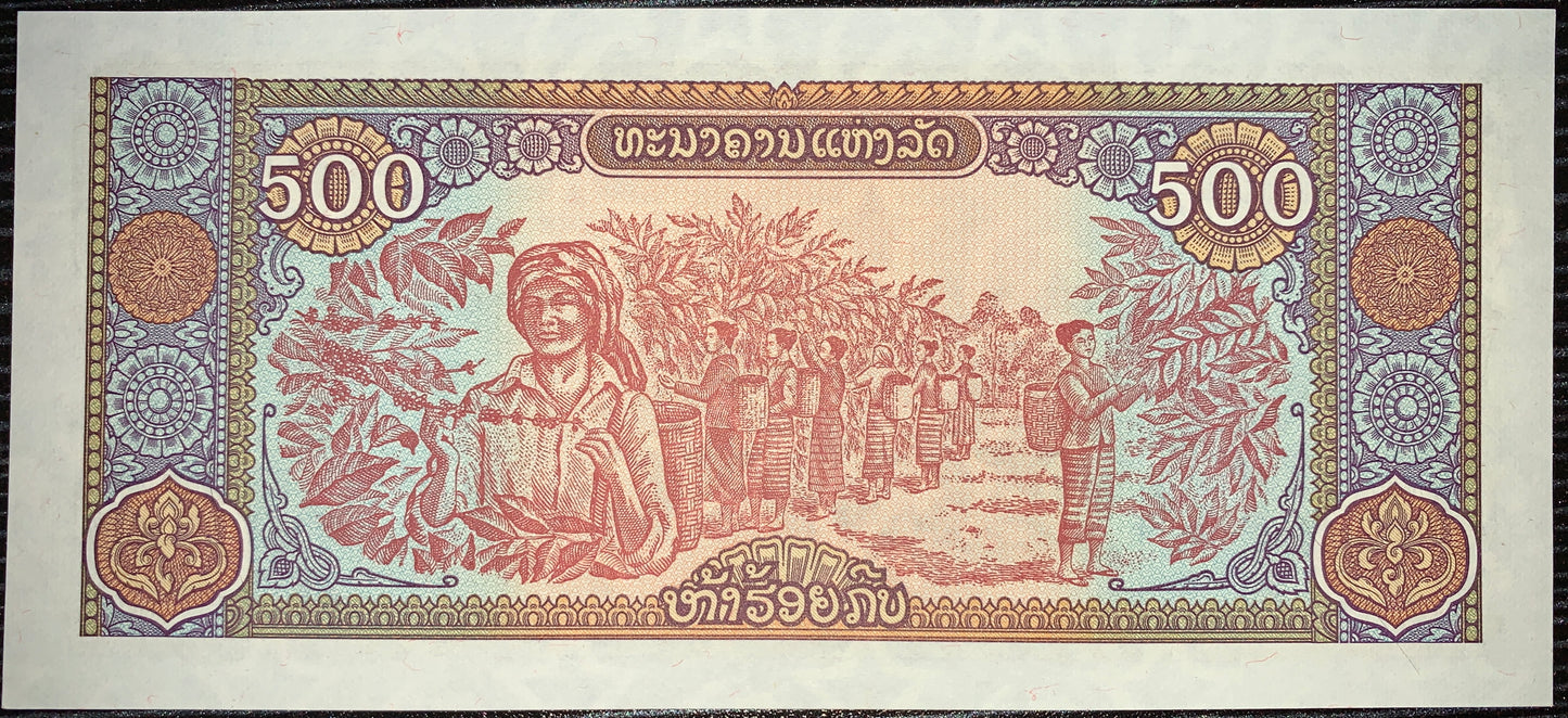 back of Laos  500 Kip 1988 P-31 AUNC collectible vintage asian banknote with coffee harvesters of the Bolaven Plateau standing among rich foliage
