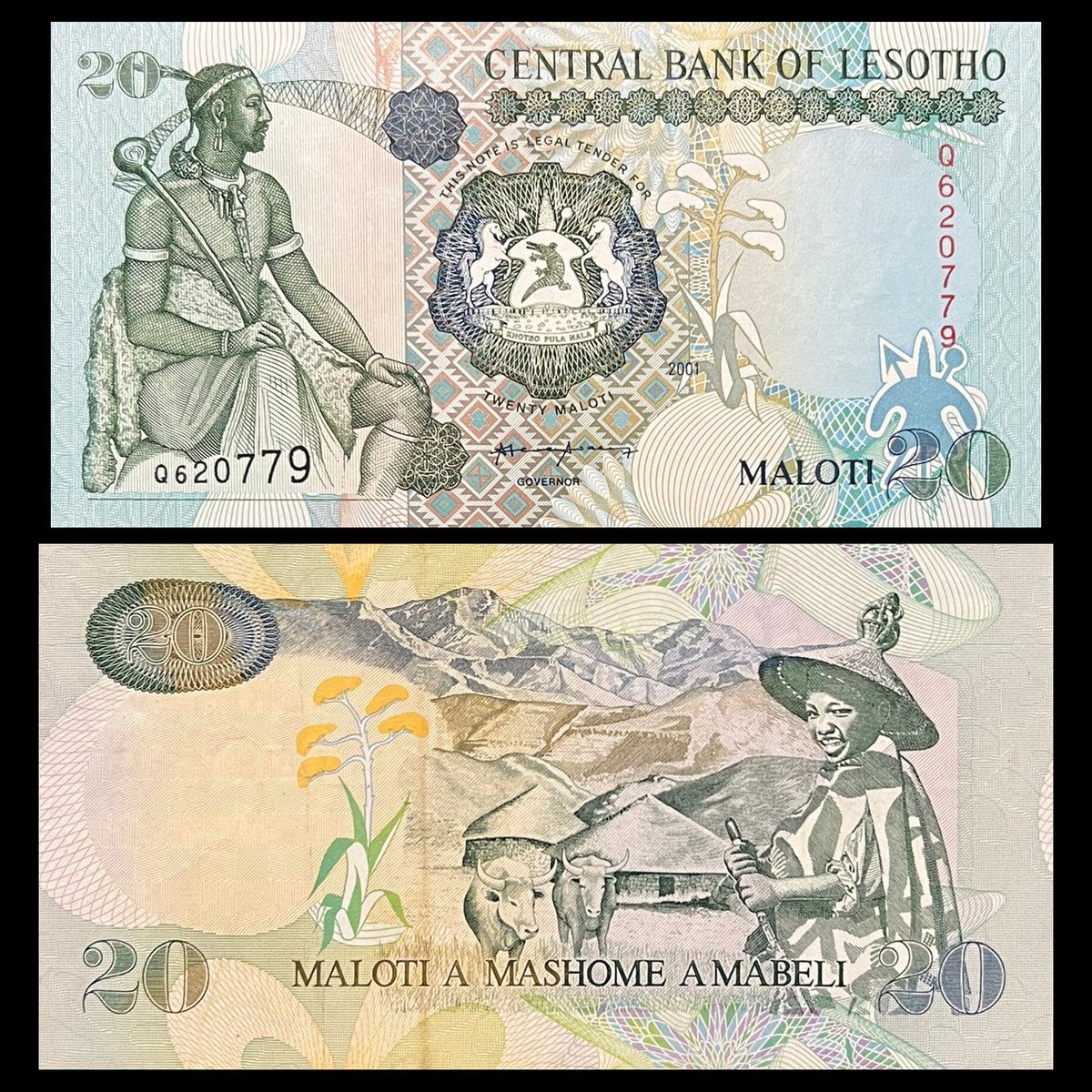 Lesotho 20 Maloti 2001 P-16c UNC banknote – front with King Moshoeshoe I seated and the coat of arms, back with a Basotho herd boy in a mokorotlo hat and cattle