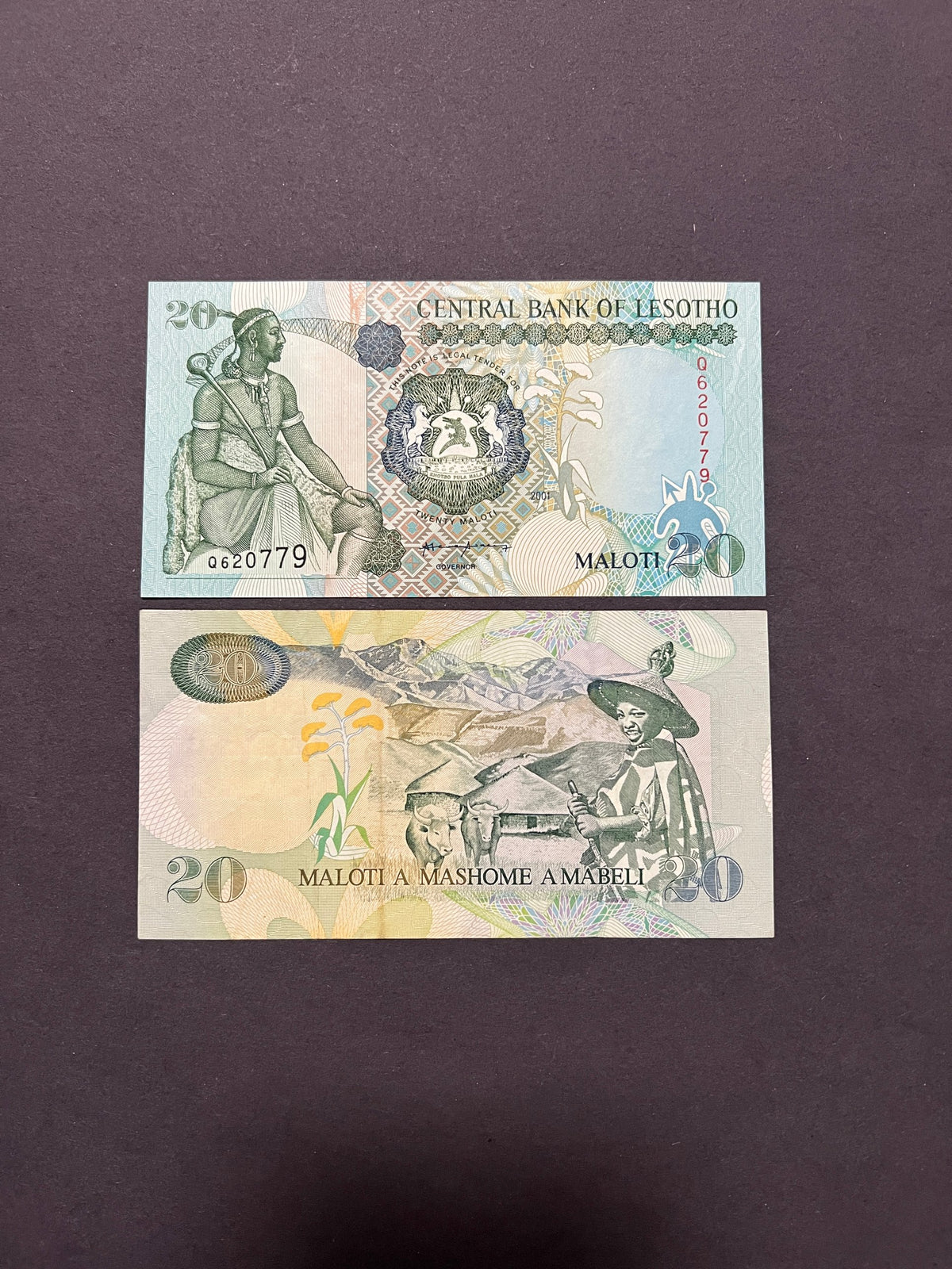 Original unedited photo of a Lesotho 20 Maloti 2001 P-16c UNC banknote, front and back