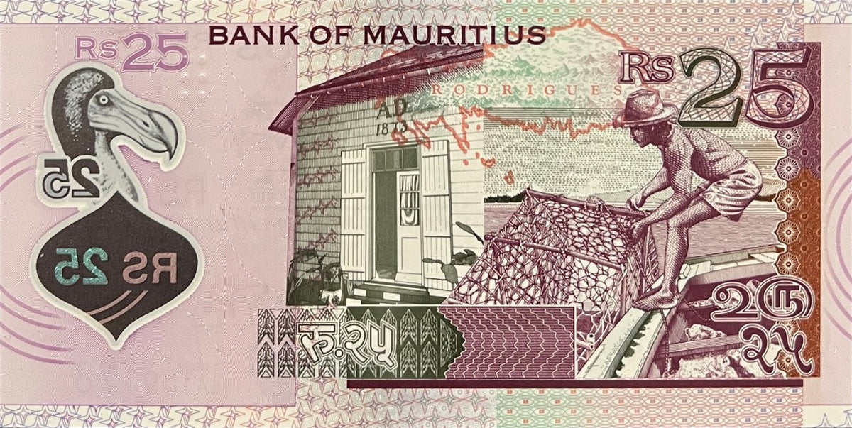 Back view of a 2013 Mauritius 25 Rupees banknote showing a map of Rodrigues Island and a fisherman with a fish trap.