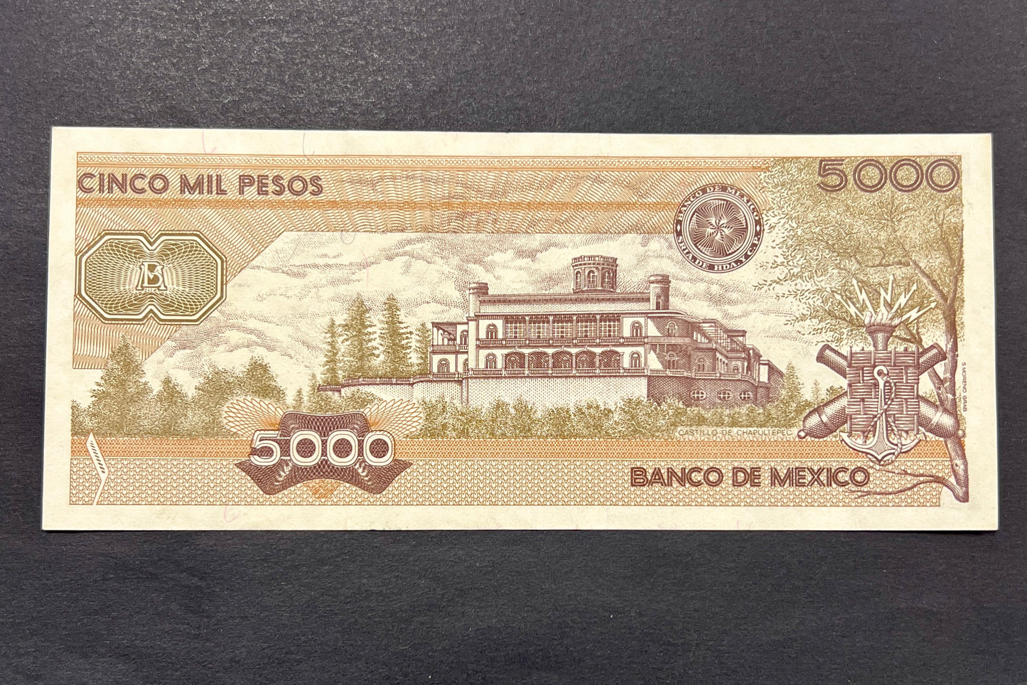 Back view of a 1987 Mexico 5000 Pesos banknote showcasing a detailed vintage engraving of the historic Chapultepec Castle in Mexico City.
