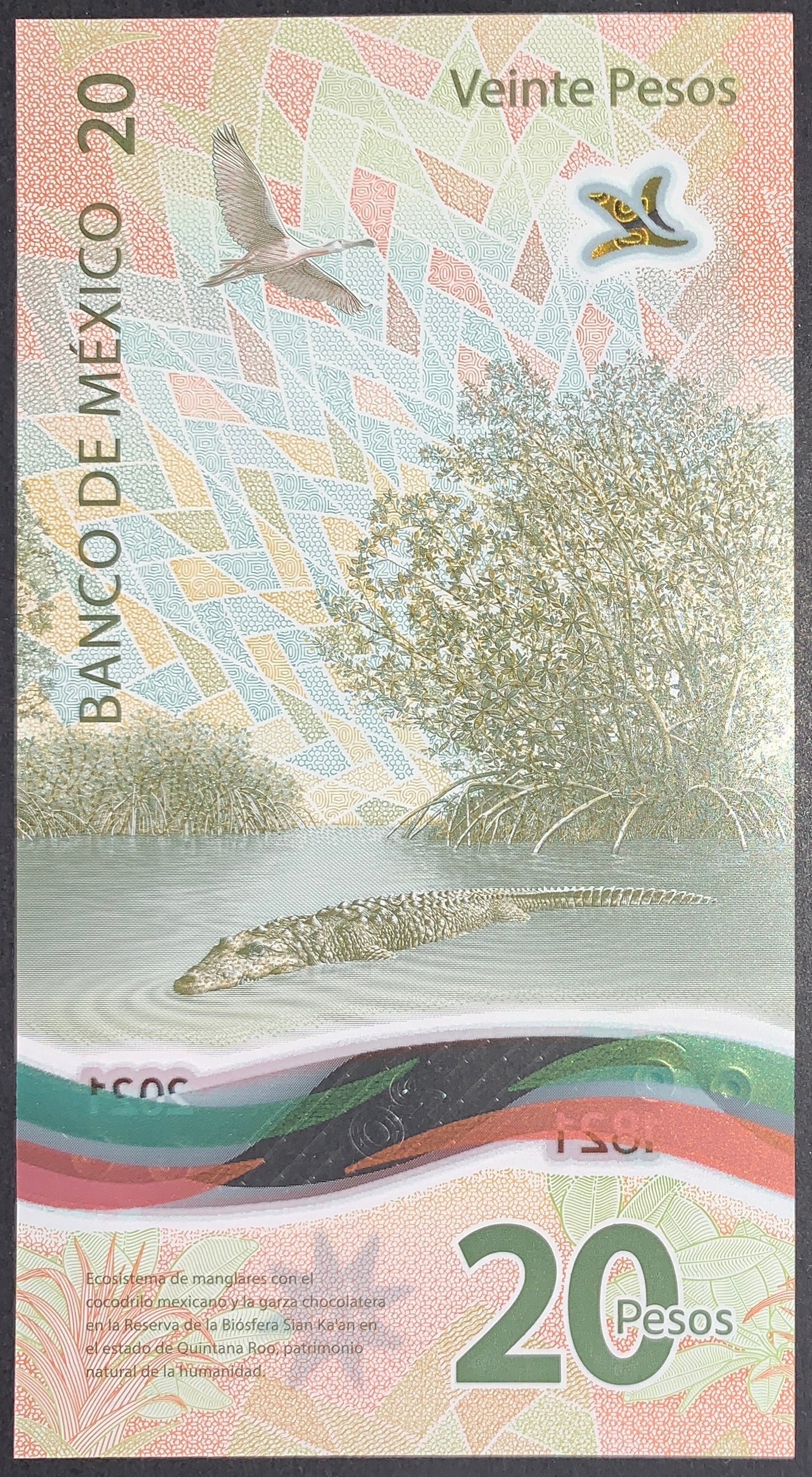 back of México 20 Pesos 2021 UNC Polymer Commemorative Banknote collectible vertical currency with bird and crocodile