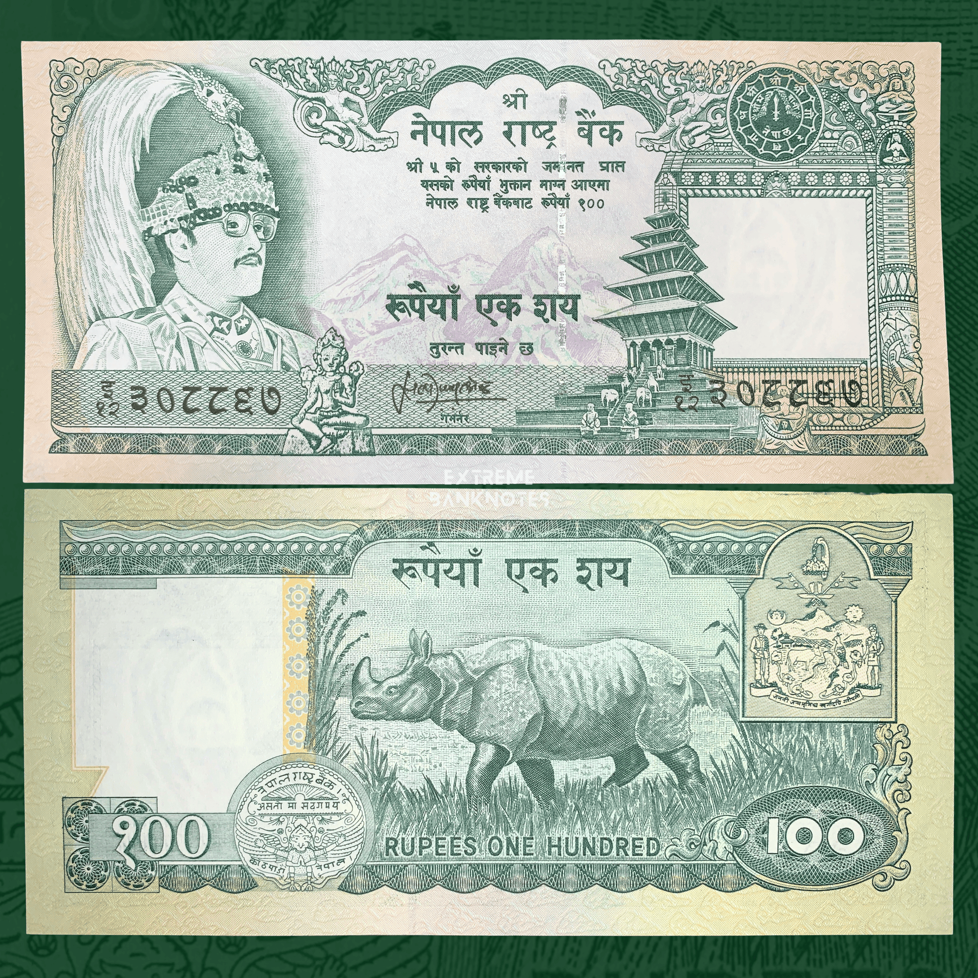 Front and back of an authentic Nepal 100 Rupees ND (1999) P-34f banknote. Obverse shows King Birendra, Nyatapola Temple, and Himalayan mountains; reverse depicts a one-horned rhinoceros with the national coat of arms.